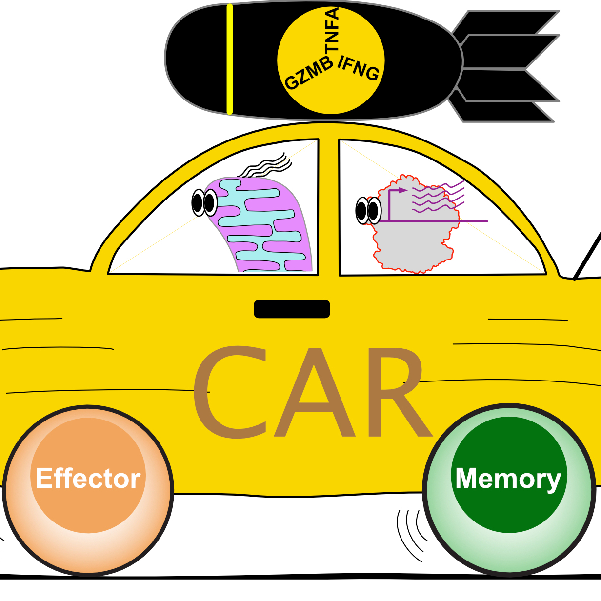 Ye Lab – Nanjing University